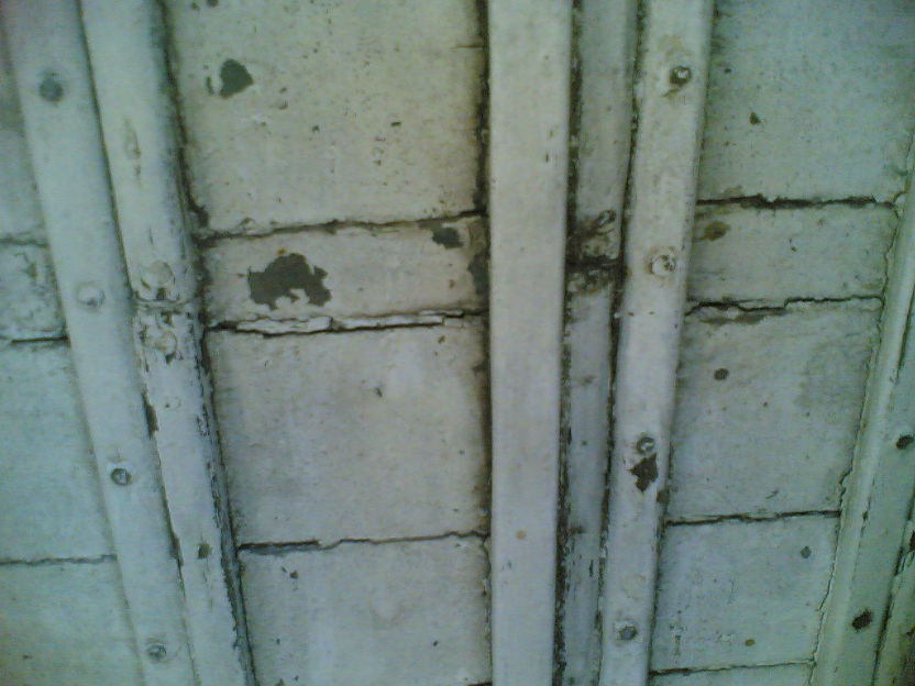 [Immagine: 20126422523_chiglia 03.jpg]